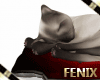 Bb Kitty Sleep