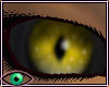 [Eye5]Gold Dragon Eyes