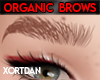 *LK* Organic Brows