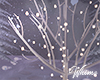 Winter Light Tree