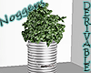 Herb Plant