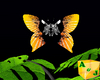 Anime Butterfly Orange