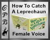 How To Catch  Leprechaun