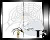 [K] Animated Spider