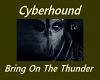 Cyberhound