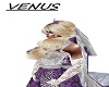 Veil with crown purple 