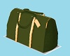 CK PM Luggage Green