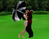 Umbrella  love