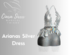 Arianas Silver Dress
