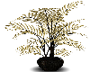 (BLCK) Vamp plant1