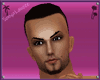 Ful Male Avatar w/poses2
