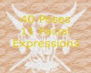 40 Poses w/ 11 Facial ex