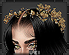 v. Golden Crown