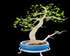 greek pot tree w/bird an