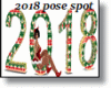 2018 POSE SPOTS