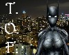 Batgirl Midnight Cape
