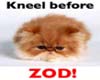 Kneel Before Zod
