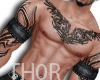 !TR! Warrior Muscle 2