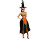 Halloween Witch dress