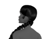 Braided Pigtails Long