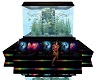 rave fish aquarium