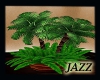 Jazzie-Tropical Palm