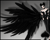 Cat ~Black Swan Wings