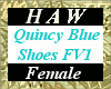 Quincy Blue Shoes FV1