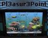 -P-pleasure fish tank