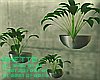 ϟ Wall Plants