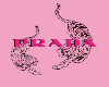 Pink Prada Outfit