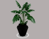 [AM] Potted Plant 2