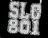 SLC 801 Chain