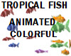 FISH-Animated Tropical