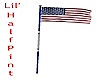 American Flag (Anim)