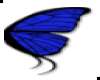 .MM.Bfly Wings - Blue