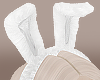 bunny ears