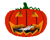 Halloween Pumpkin Cuddle