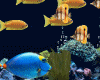 Fish Tank 3d Animated