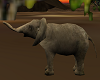 FG~ African Elephant