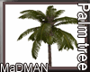 Animated Palm Tree V2