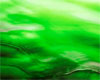 Green Swirl Backdrop