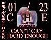 CAN'T CRY HARD / LS +G