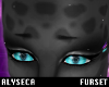 A! Ocellus brows