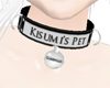 Kisumi's Pet Collar