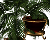 PARIS Potted Fern