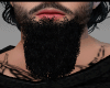 Nott Beard