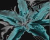 Black and Teal Flower