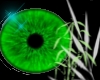 [FGE] Bright Green Eye