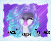 ꨄStacy Hairꨄ